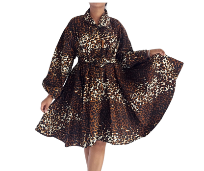 Leopard Print Coat Dress